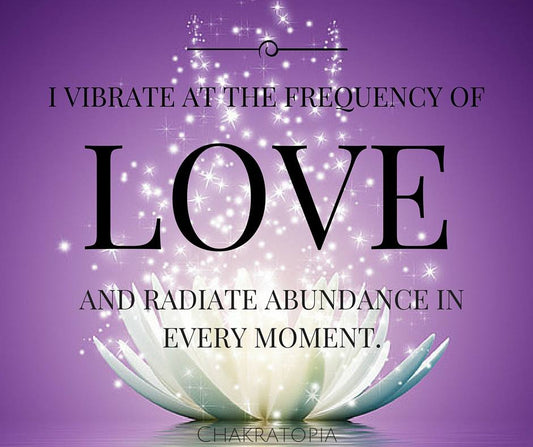 Dani Tworek Chakratopia Remote Energy Healing Pranic Healing Chakra Balancing Aura Soul Spirituality High Vibe Higher Self Akashic Records tarot Psychic Healing