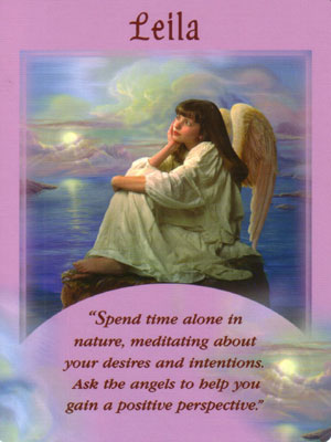 Dani Tworek, Chakratopia, Blog, Seattle, PNW, Angels, Tarot, Leila, Nature