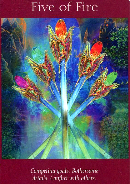 Illuminate! Card + Energy Message Week of 1/15/23