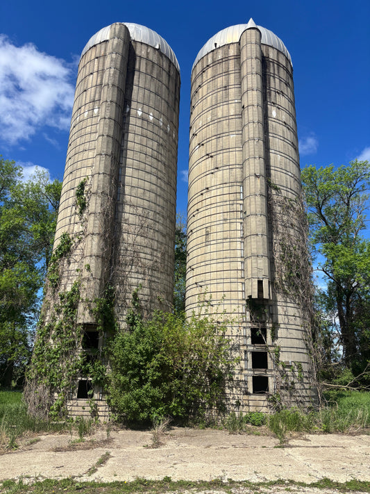 The Pure Magic of Budlong Farm