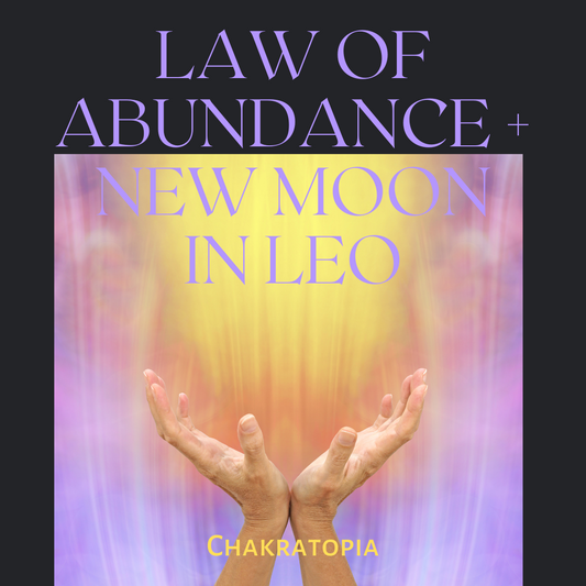 Dani Tworek, Chakratopia, Remote Energy Healing, Chakra balancing, Seattle, Law of Abundance, New Moon, Spirtuality